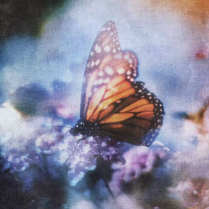 国产视频福利在线
