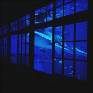 国产视频福利在线
